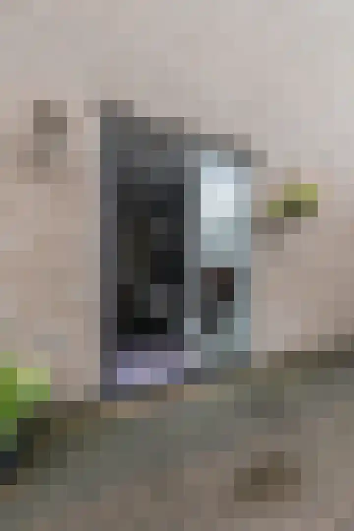 De Boeten 20 Hollandscheveld thumbnail 34