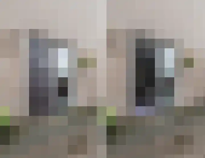 De Boeten 20 Hollandscheveld thumbnail 35