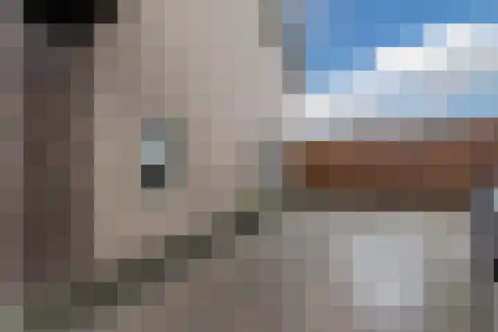 De Boeten 20 Hollandscheveld thumbnail 36