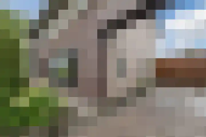 De Boeten 20 Hollandscheveld thumbnail 37
