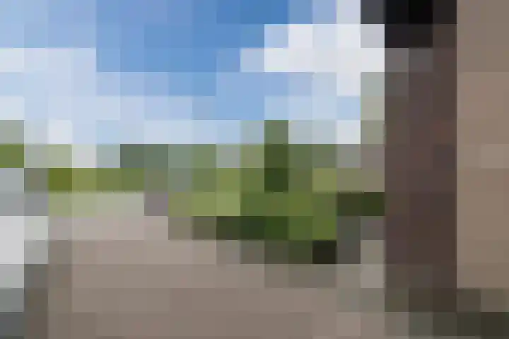De Boeten 20 Hollandscheveld thumbnail 38