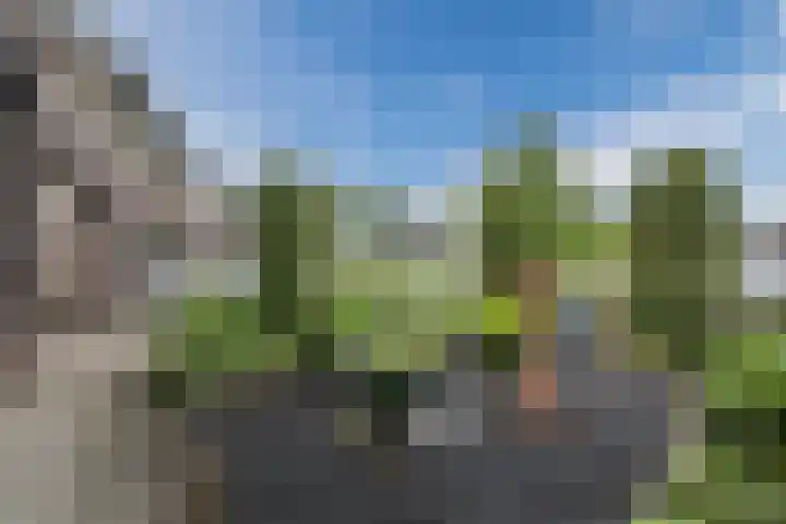 De Boeten 20 Hollandscheveld thumbnail 39