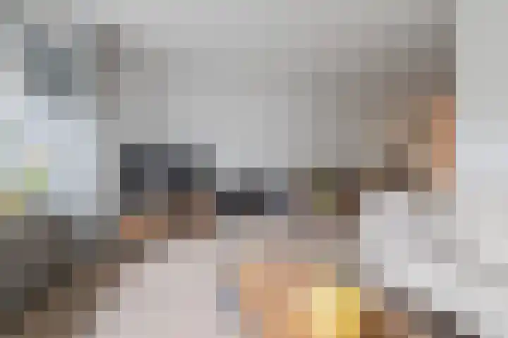 De Boeten 20 Hollandscheveld thumbnail 4