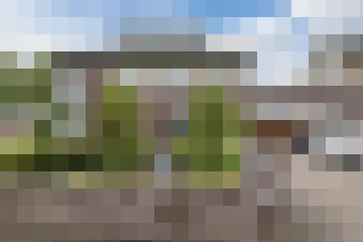 De Boeten 20 Hollandscheveld thumbnail 40
