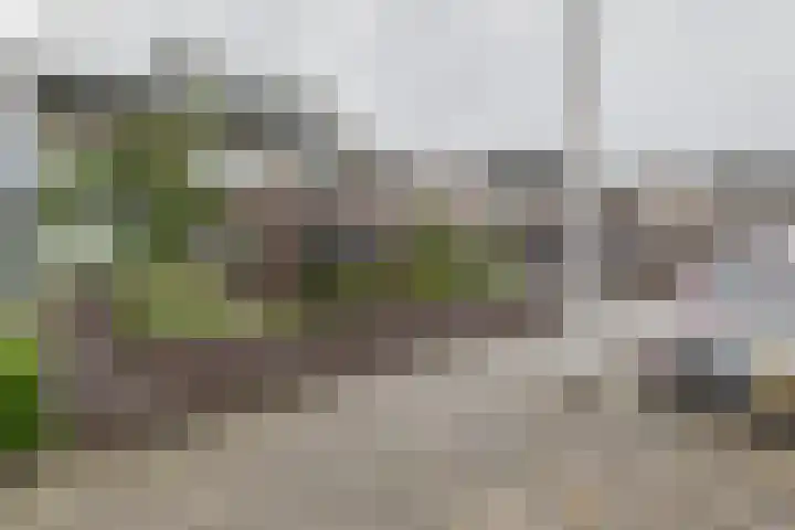 De Boeten 20 Hollandscheveld thumbnail 41