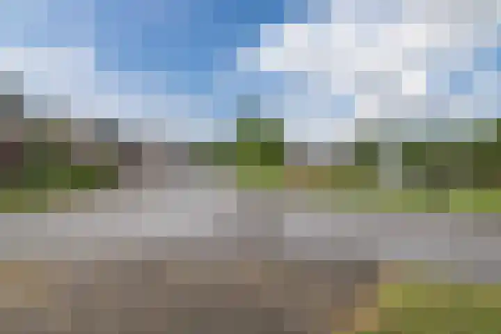 De Boeten 20 Hollandscheveld thumbnail 42