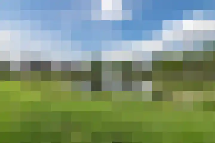 De Boeten 20 Hollandscheveld thumbnail 43