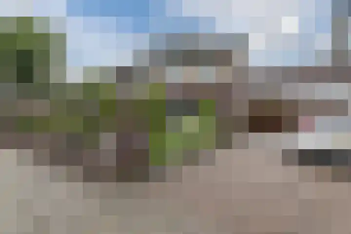 De Boeten 20 Hollandscheveld thumbnail 49