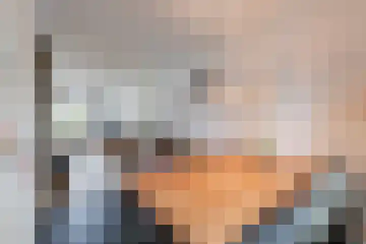 De Boeten 20 Hollandscheveld thumbnail 6