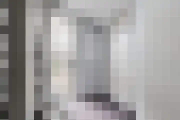 De Boeten 20 Hollandscheveld thumbnail 9