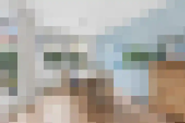 De Boezem 15 Alblasserdam thumbnail 17