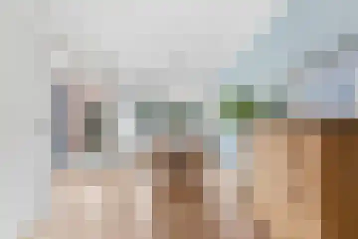 De Boezem 15 Alblasserdam thumbnail 18