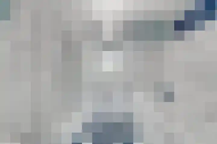 De Boezem 15 Alblasserdam thumbnail 22