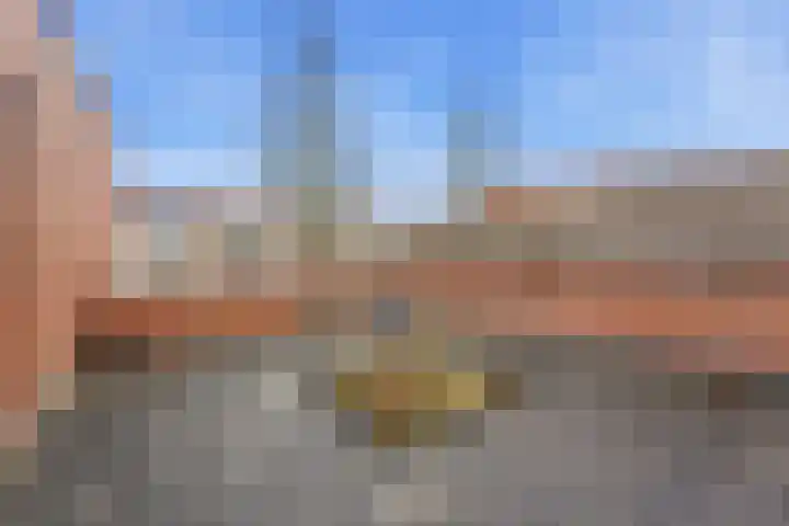 De Boezem 15 Alblasserdam thumbnail 36