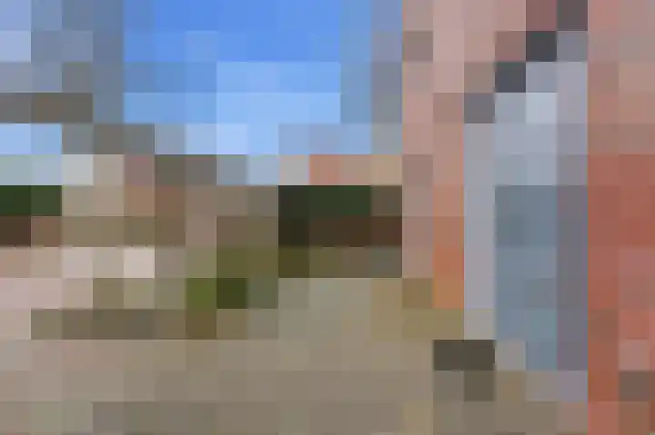 De Boezem 15 Alblasserdam thumbnail 41