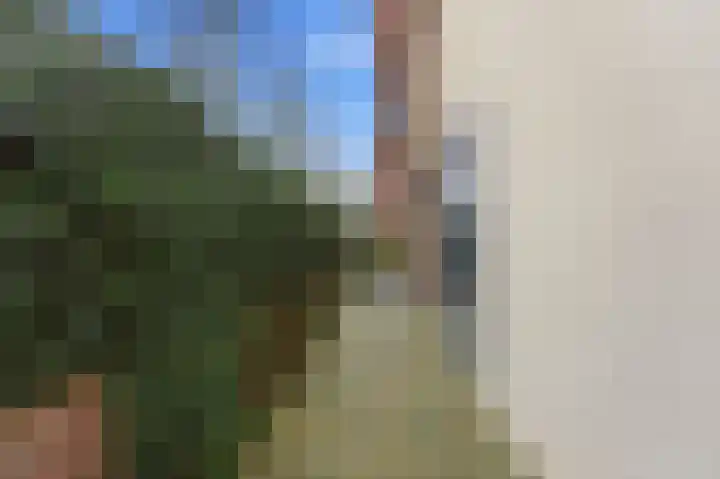 De Boezem 15 Alblasserdam thumbnail 42