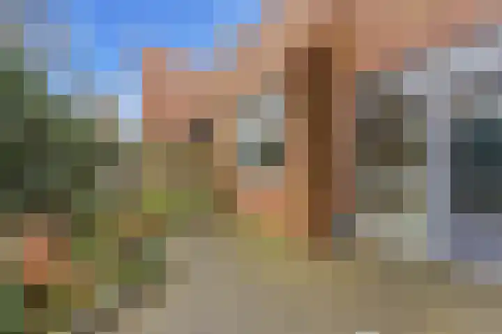 De Boezem 15 Alblasserdam thumbnail 43