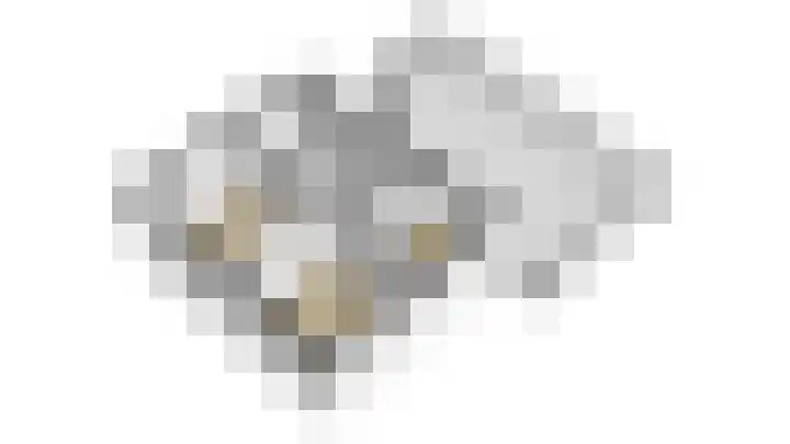 De Boezem 15 Alblasserdam thumbnail 51