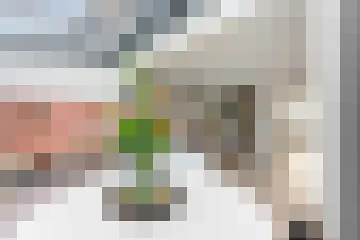 De Boezem 20 Alblasserdam thumbnail 13