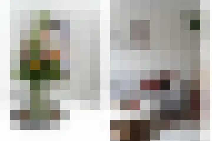 De Boezem 20 Alblasserdam thumbnail 14