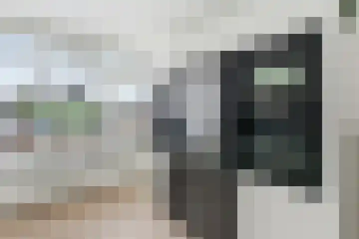 De Boezem 20 Alblasserdam thumbnail 22