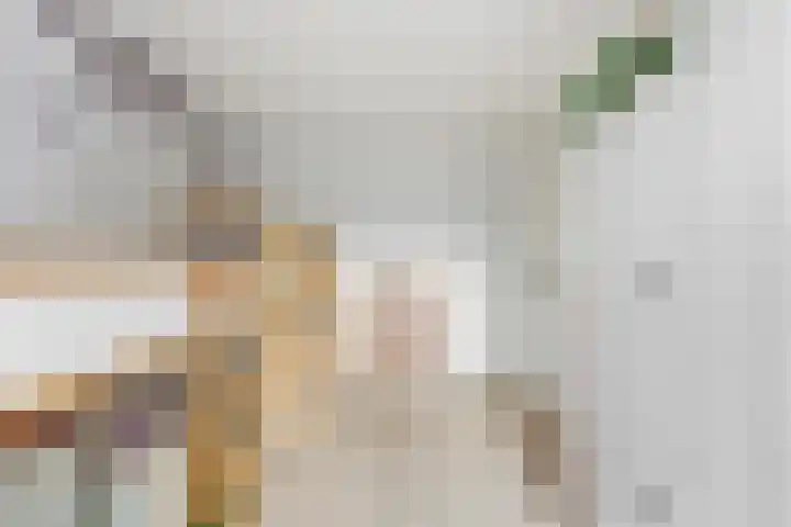De Boezem 20 Alblasserdam thumbnail 32