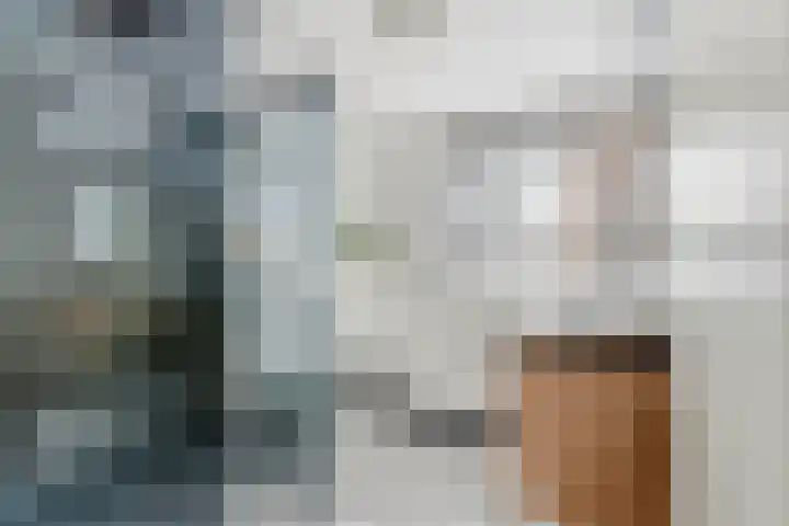 De Boezem 20 Alblasserdam thumbnail 33