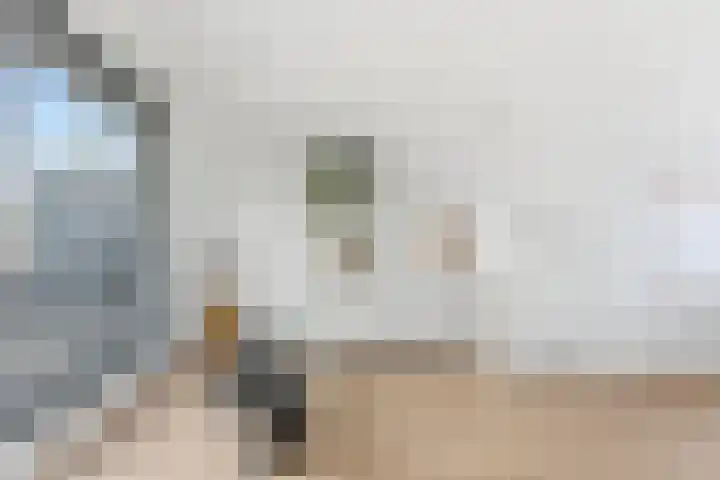De Boezem 20 Alblasserdam thumbnail 37