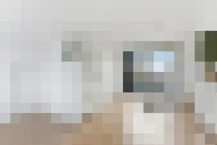 De Boezem 20 Alblasserdam thumbnail 40