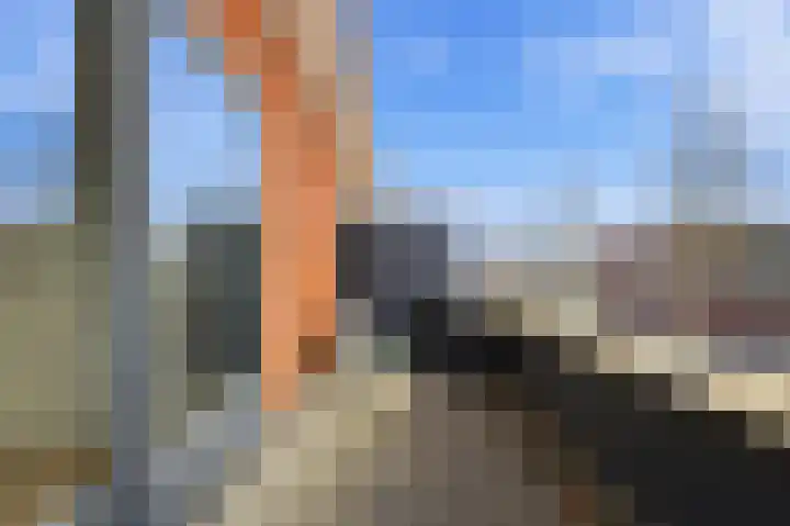 De Boezem 20 Alblasserdam thumbnail 42