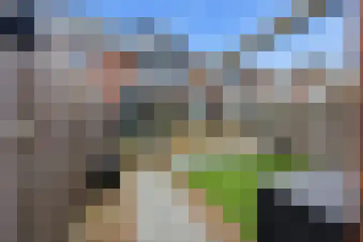 De Boezem 20 Alblasserdam thumbnail 46