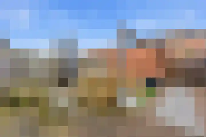 De Boezem 20 Alblasserdam thumbnail 47