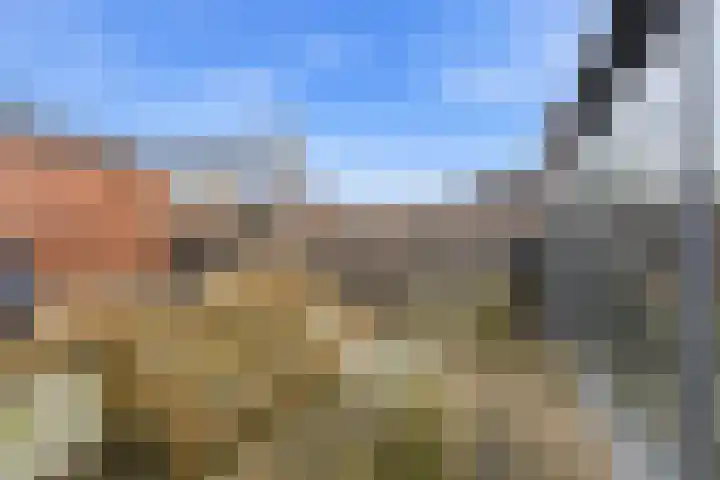 De Boezem 20 Alblasserdam thumbnail 48