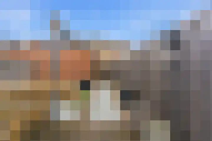 De Boezem 20 Alblasserdam thumbnail 49