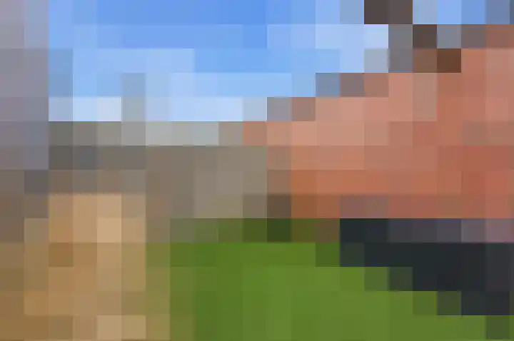 De Boezem 20 Alblasserdam thumbnail 50