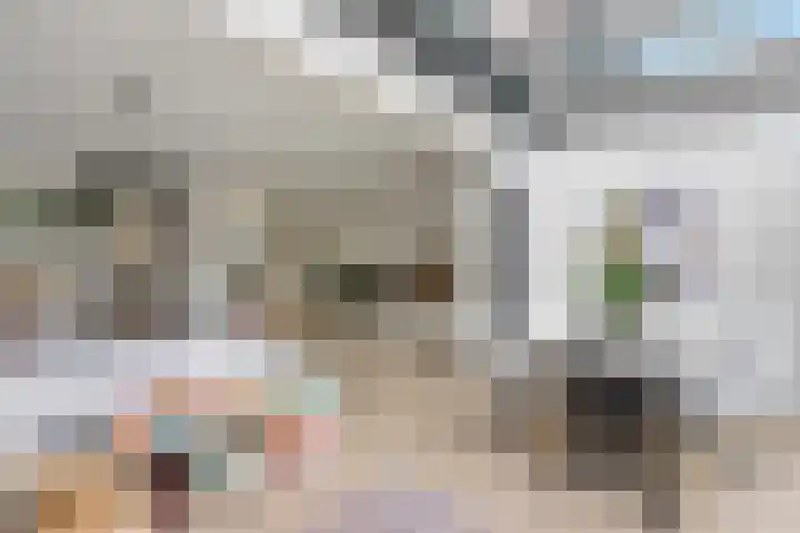 De Boezem 20 Alblasserdam thumbnail 7