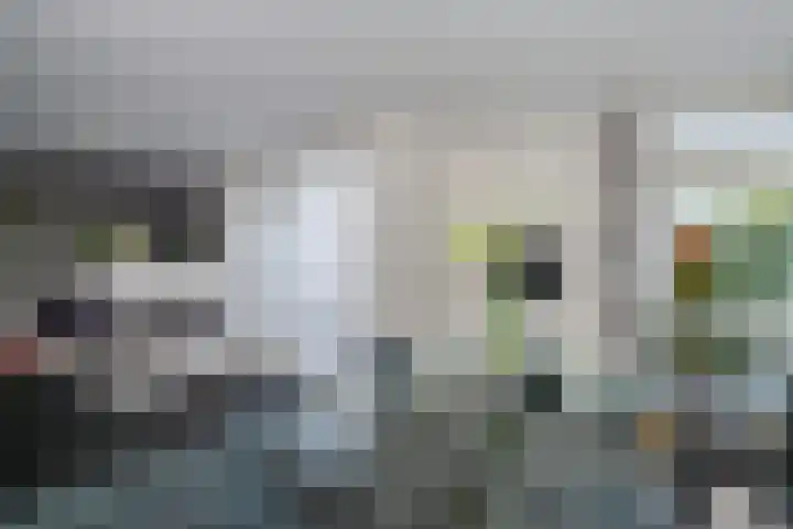 De Boezem 31 Alblasserdam thumbnail 10