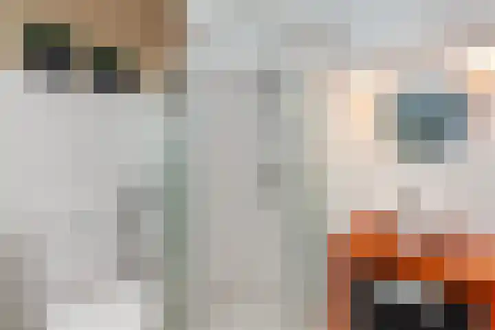 De Boezem 31 Alblasserdam thumbnail 17