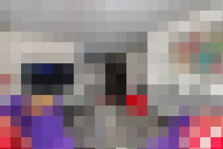 De Boezem 31 Alblasserdam foto 2