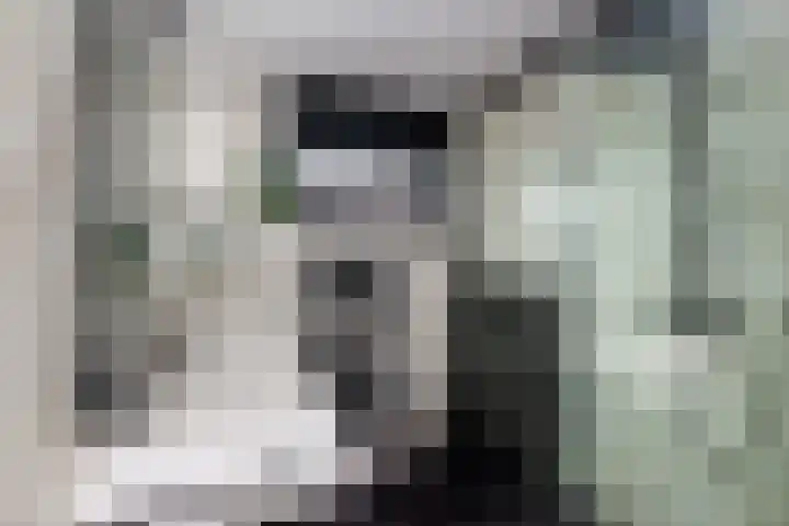 De Boezem 31 Alblasserdam thumbnail 23