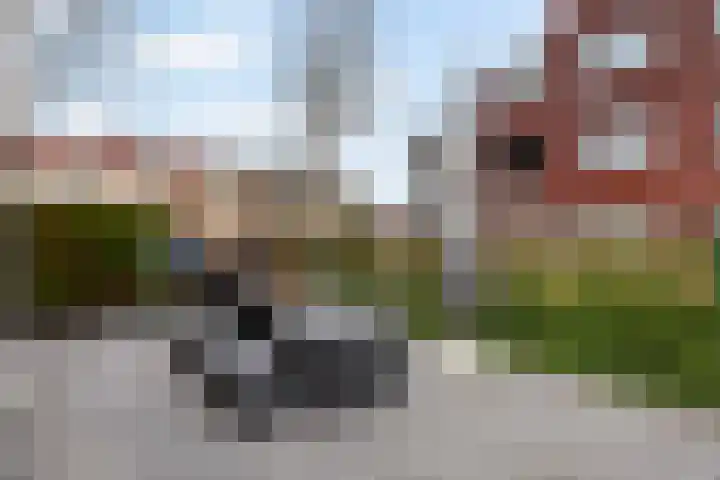 De Boezem 31 Alblasserdam thumbnail 28