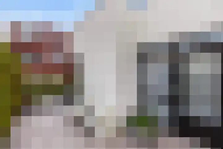 De Boezem 31 Alblasserdam thumbnail 31