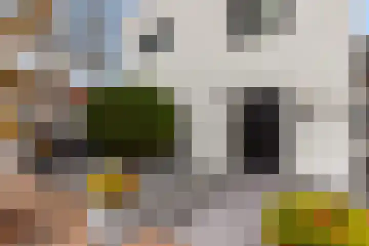 De Boezem 31 Alblasserdam thumbnail 4