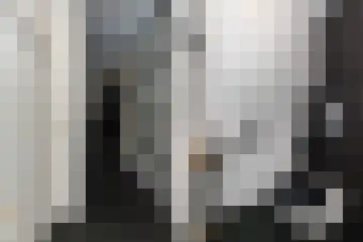 De Boezem 31 Alblasserdam thumbnail 5