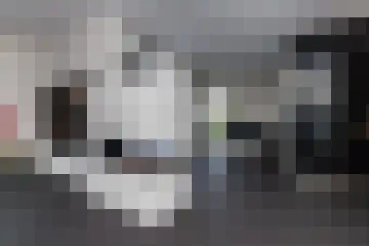 De Boezem 31 Alblasserdam thumbnail 8