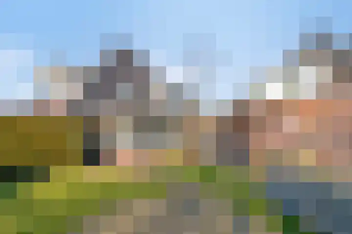 de Bogaard 32 IJsselmuiden thumbnail 67