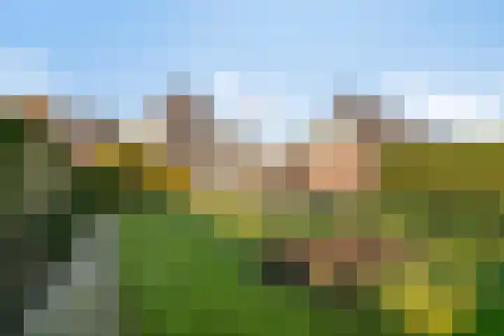 de Bogaard 32 IJsselmuiden thumbnail 68
