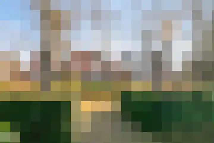 de Bogaard 32 IJsselmuiden thumbnail 69