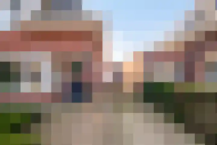 de Bogaard 32 IJsselmuiden thumbnail 9