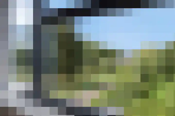De Bogaert 17 Doesburg thumbnail 31